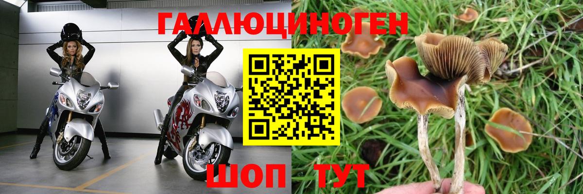 Галлюциногенные грибы мицелий Ухта